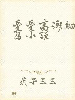 爱爱高潮细节描写小说