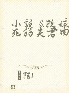 小说《改嫁时战死的夫君回来了》