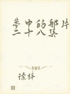 梦中的那片海第二十八集