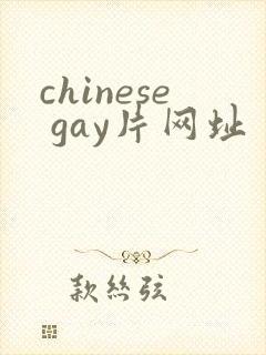 chinese gay片网址