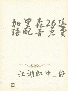 加里森26集国语配音免费观看