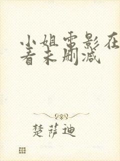 小姐电影在线观看未删减