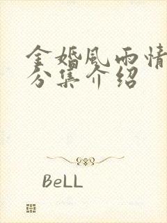 金婚风雨情剧情分集介绍