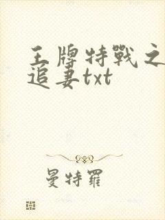 王牌特战之权少追妻txt封面