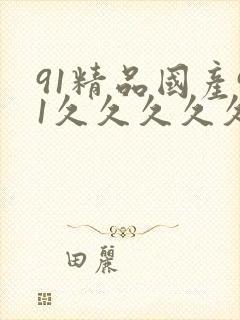 91精品国产91久久久久久不卡