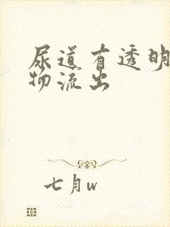 尿道有透明分泌物流出