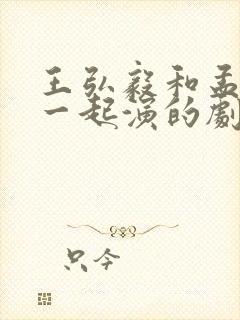 王弘毅和孟子义一起演的剧封面