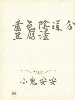 黄色阴道分泌物豆腐渣封面