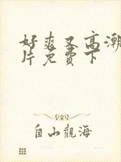 好爽又高潮了毛片免费下