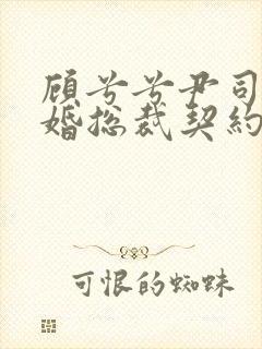 顾兮兮尹司宸闪婚总裁契约妻