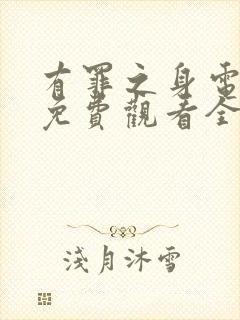 有罪之身电视剧免费观看全集高清封面