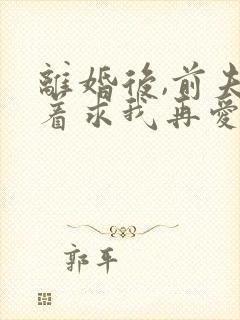 离婚后,前夫哭着求我再爱他一次小说