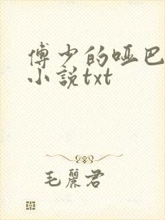 傅少的哑巴新妻小说txt封面