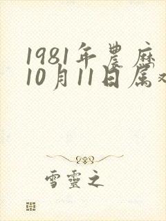 1981年农历10月11日属鸡的命运如何