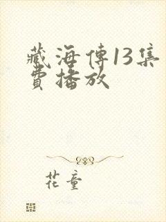 藏海传13集免费播放封面