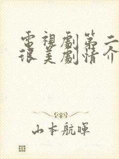 电视剧第二次也很美剧情介绍