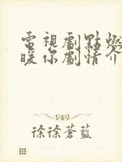 电视剧点燃我温暖你剧情介绍