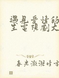 遇见爱情的利先生电视剧大结局封面