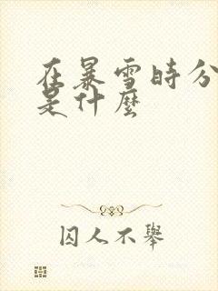 在暴雪时分讲的是什么