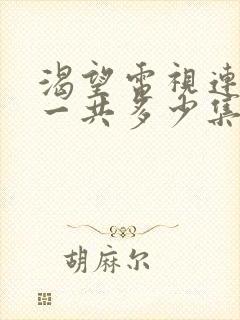 渴望电视连续剧一共多少集封面