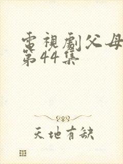 电视剧父母爱情第44集封面