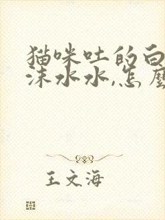 猫咪吐的白色泡沫水水,怎么回事?