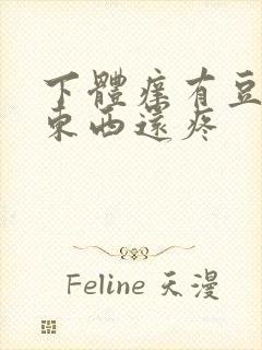 下体痒有豆腐渣东西还疼封面