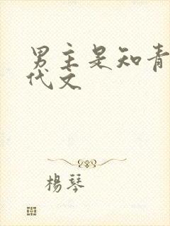 男主是知青的年代文