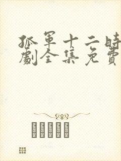 孤军十二时电视剧全集免费播放高清封面