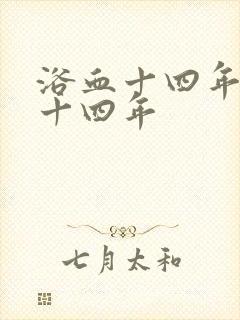 浴血十四年是哪十四年