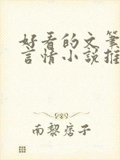 好看的文笔好的言情小说推荐封面