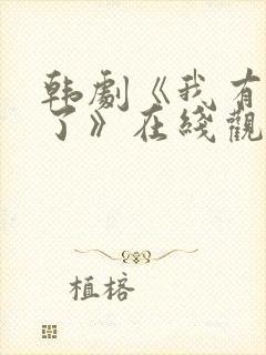 韩剧《我有爱人了》在线观看