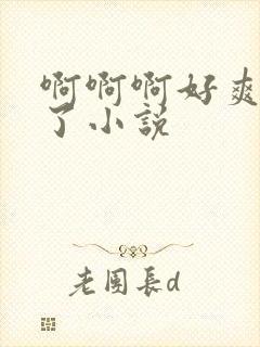 啊啊啊好爽高潮了小说