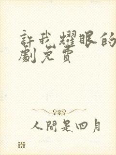 许我耀眼的电视剧免费封面