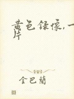 黄色录像,一级片