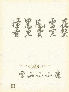 扫黑风云在线观看免费完整版高清