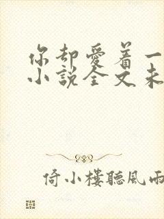 你却爱着一个他小说全文未删减免费