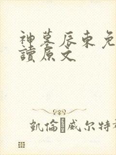 神墓辰东免费阅读原文