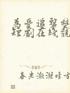 为爱追击双男主短剧在线观看