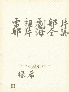 电视剧那片星空那片海全集