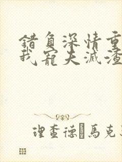 错负深情重生后我宠夫灭渣免费阅读