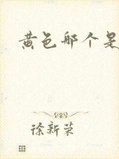 黄色哪个是网址