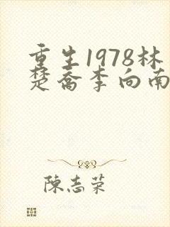 重生1978林楚乔李向南