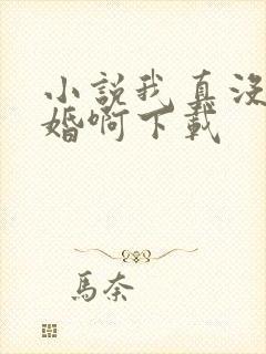 小说我真没想结婚啊下载