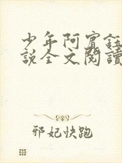 少年阿宾钰慧小说全文阅读目录免费