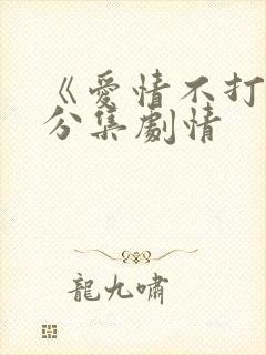 《爱情不打烊》分集剧情