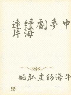 连续剧梦中的那片海
