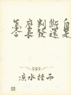 怎么判断自己适合长发还是短发封面