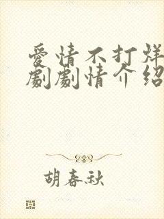 爱情不打烊电视剧剧情介绍