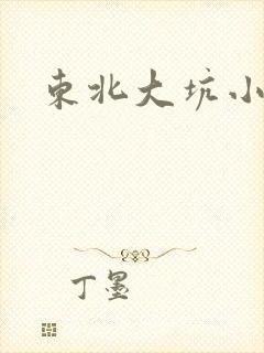 东北大坑小说